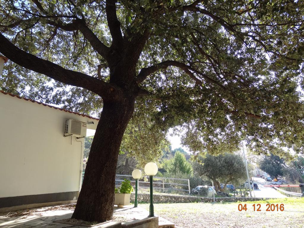 Holiday House Zorra Zivogosce Exterior photo